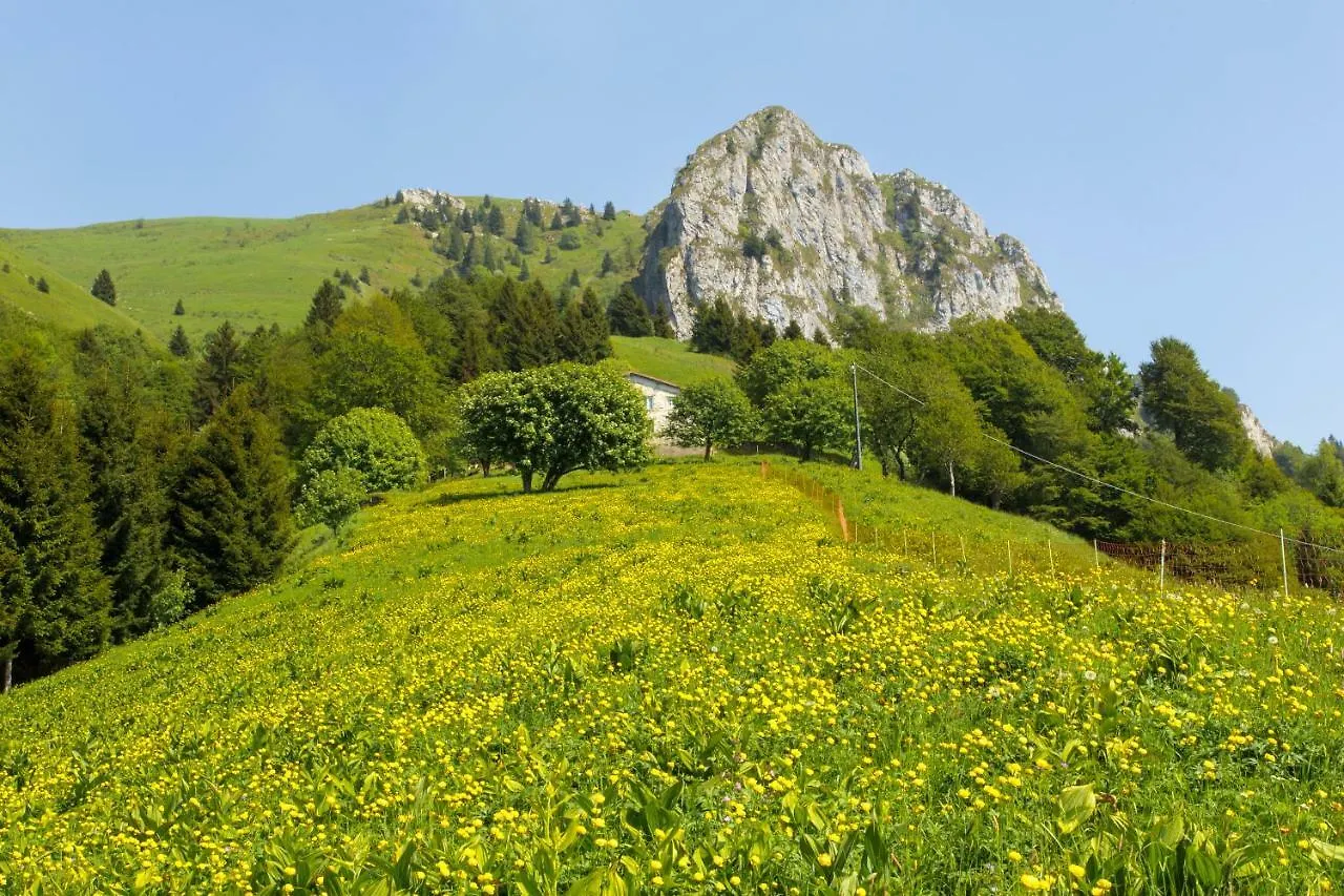 B&B Il Centrale Zone Italy