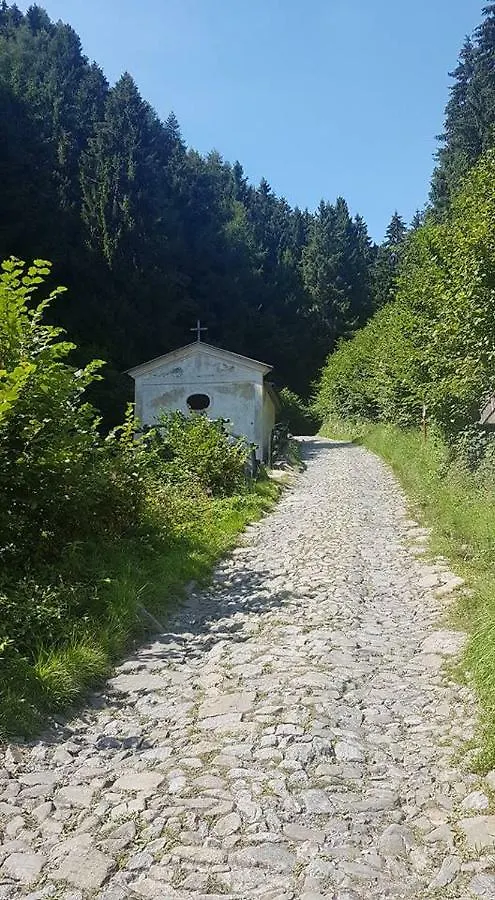 B&B Il Centrale Zone Bed & Breakfast